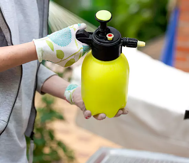 Skilled Residential Small Black Ant Service in Bonita Springs, FL