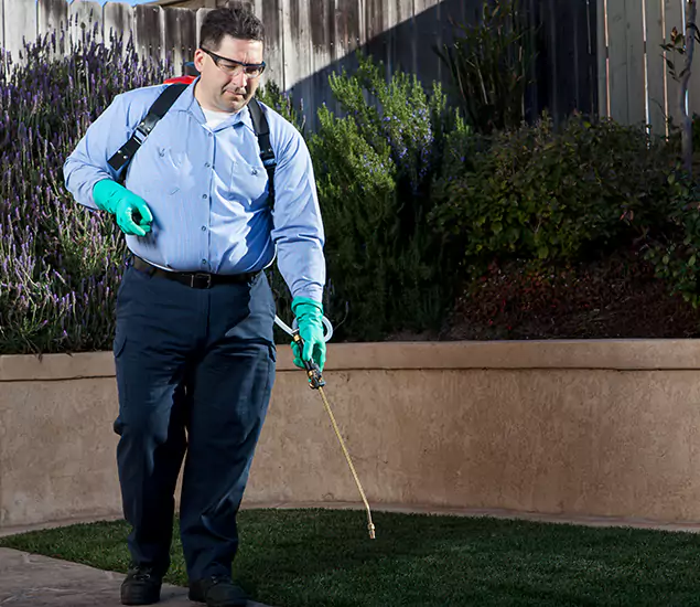 Reliable Termite Barrier Treatment Experts in Bonita Springs, FL