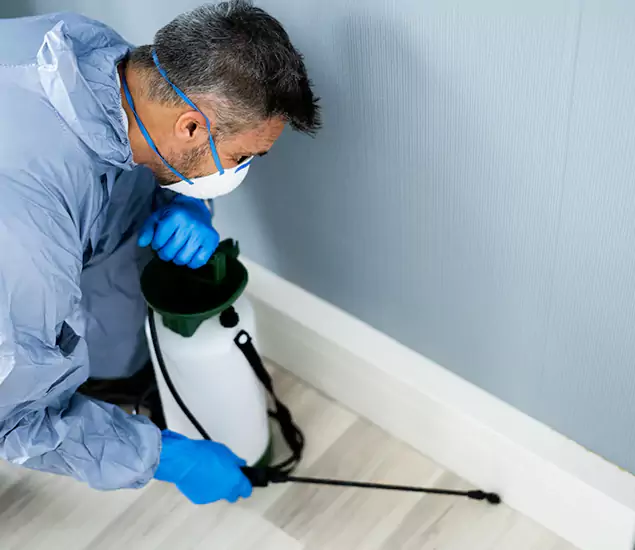 Reliable Termite Cost Experts in Bonita Springs, FL