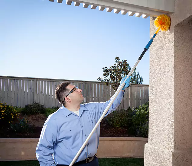 Your Trusted Wasp Removal Company in Bonita Springs, FL