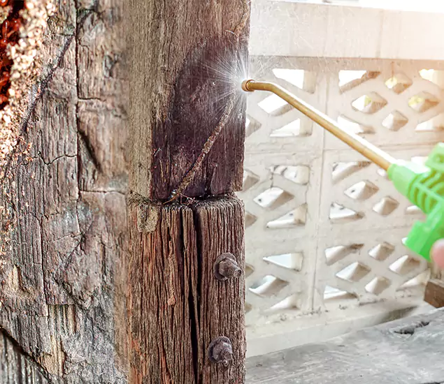 About Wood Termite Treatment Services in Bonita Springs, FL