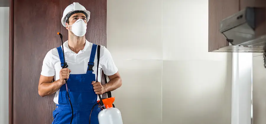 Per Room Bed Bug Cost in Bonita Springs