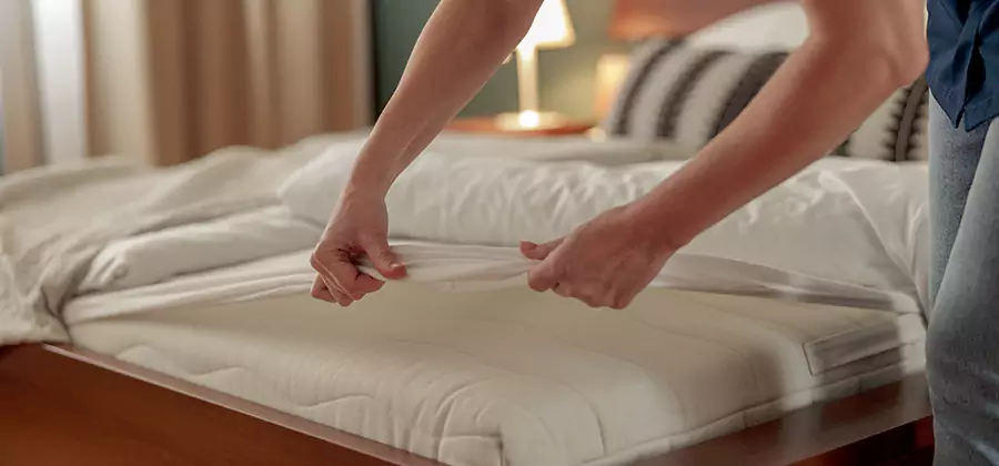 Bed Bug Extermination Services in Bonita Springs
