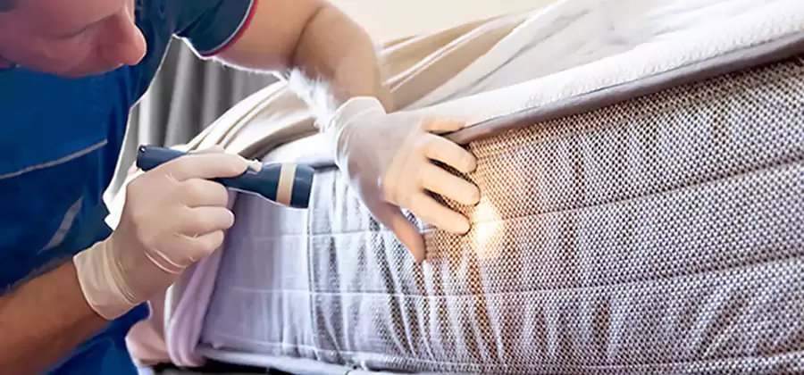 Residential Bed Bug Treatment Cost in Bonita Springs
