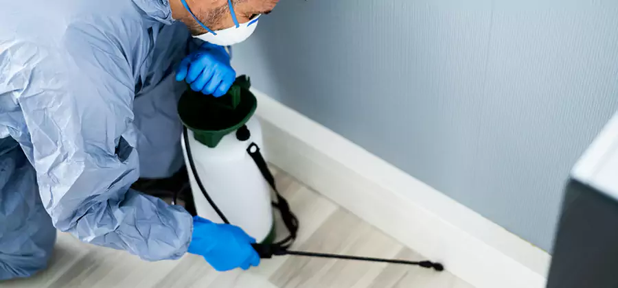 Fumigate Apartment Roaches in Bonita Springs