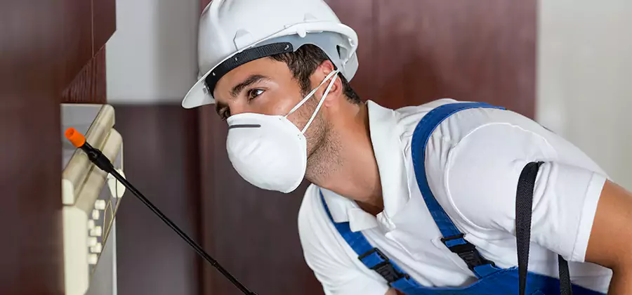 Injection Foam Treatment for Drywood Termites in Bonita Springs