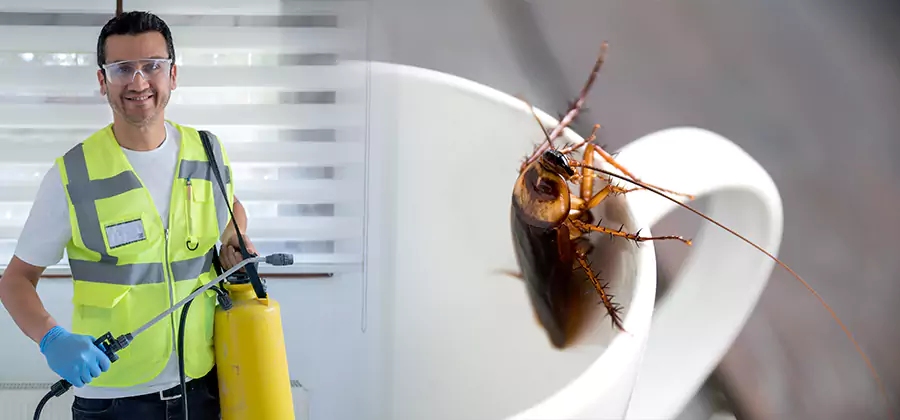 German Roach Infestation Treatment Bonita Springs