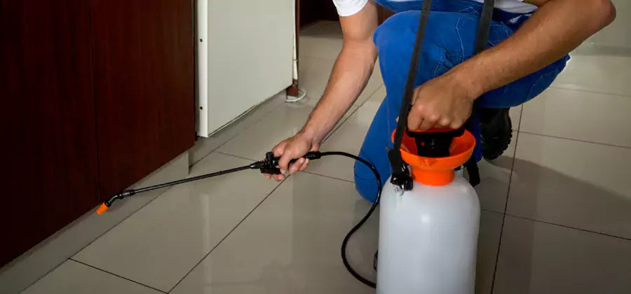 Indoor Mosquito Treatment in Bonita Springs