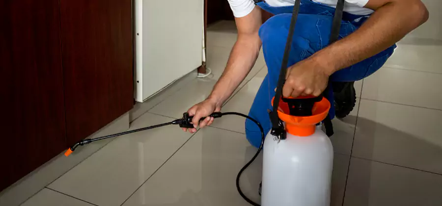 Indoor Insect Killer Solutions in Bonita Springs