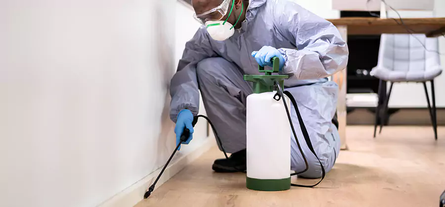 Long Lasting Mosquito Treatment in Bonita Springs