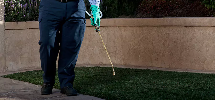 Soil Treatment for New Construction Termites in Bonita Springs