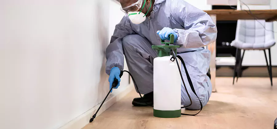 No Tent Termite Extermination With Electric Tool in Bonita Springs