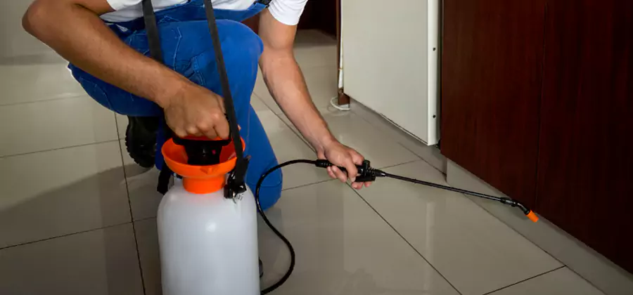 One Time Termite Control in Bonita Springs
