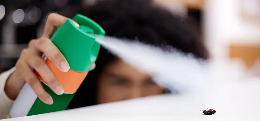 Child Safe Bed Bug Treatment in Bonita Springs