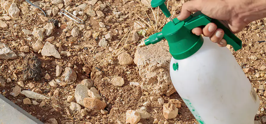 Heat Treatment Termite Cost in Bonita Springs
