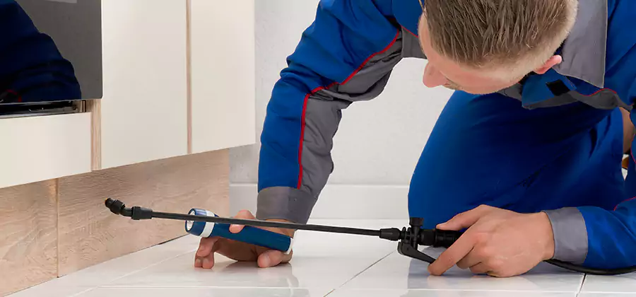 Moisture Treatment For Termite Control Service in Bonita Springs