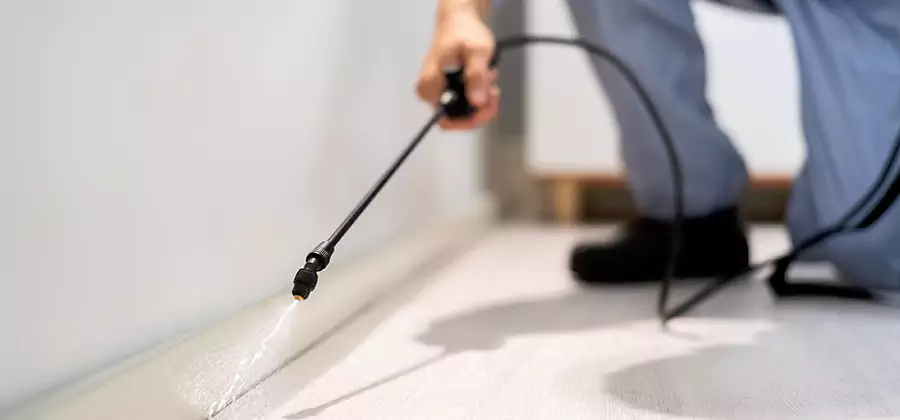 Direct Termite Injection Treatment in Bonita Springs