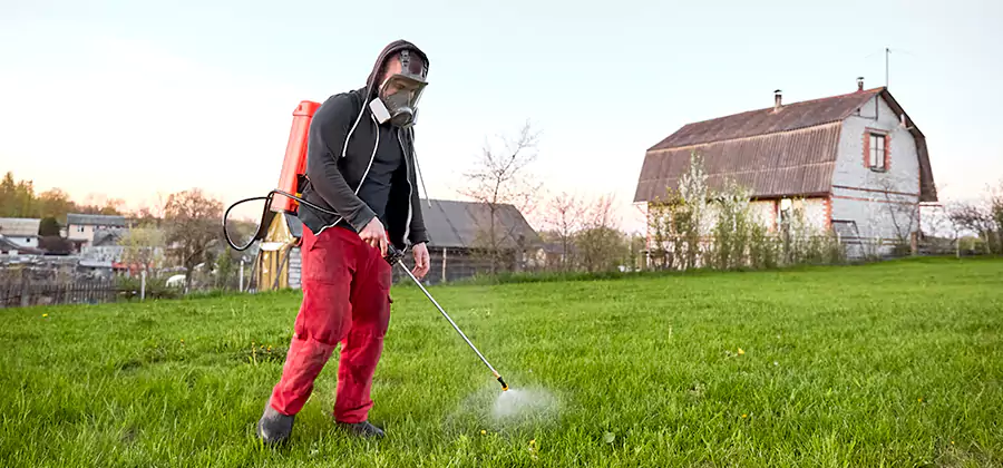 Flea and Tick Pest Control in Bonita Springs