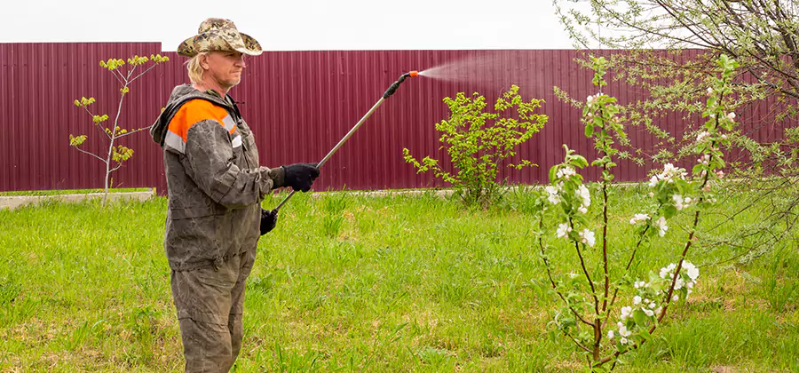 Flea and Tick Spray for Yard in Bonita Springs