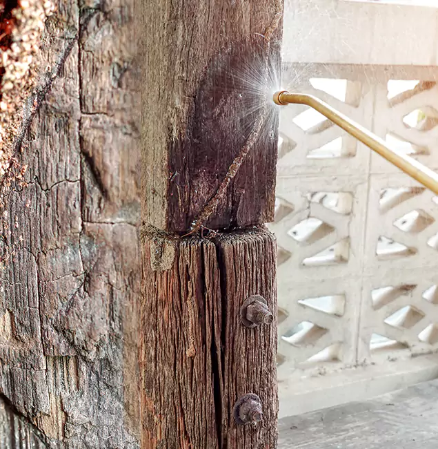 Why Choose Bonita Springs Pest Control Pro for Attic Termite Treatment in Bonita Springs, FL?