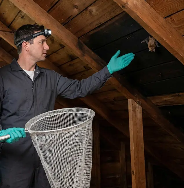 Why Bonita Springs Pest Control Pro Is the Right Choice in Bonita Springs, FL?