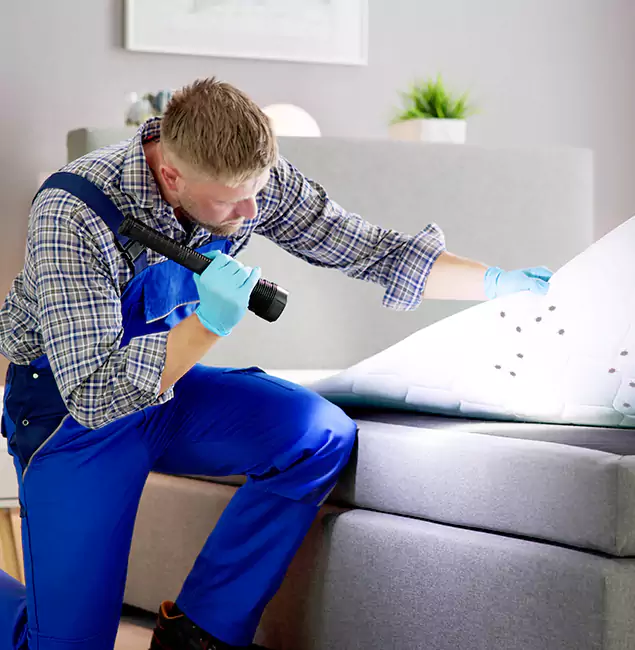 Why Choose Bonita Springs Pest Control Pro for Bed Bug Exterminator Cost in Bonita Springs, FL?