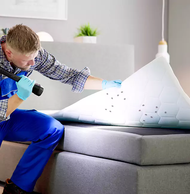 Why Choose Bonita Springs Pest Control Pro in Bonita Springs, FL?