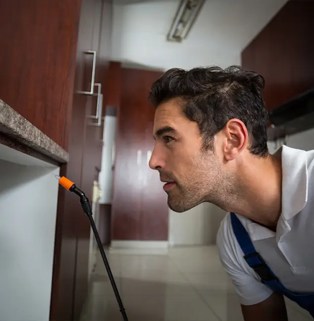 Why Choose Bonita Springs Pest Control Pro for Bed Bug Removal Cost in Bonita Springs, FL?