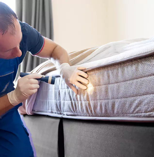 Why Choose Bonita Springs Pest Control Pro for Bed Bug Services in Bonita Springs, FL?