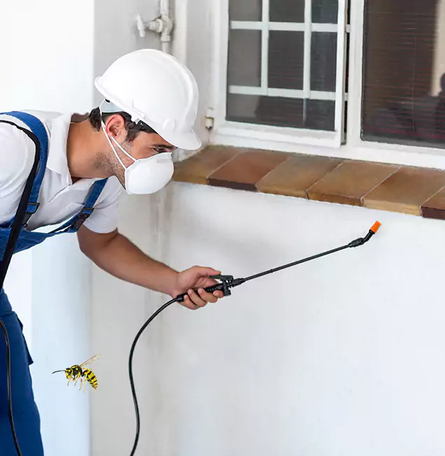 Why Bonita Springs Property Owners Choose Bonita Springs Pest Control Pro for Bee Nest Removal?