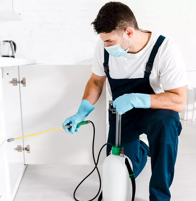 Why Choose Bonita Springs Pest Control Pro for Emergency Pest Control in Bonita Springs?