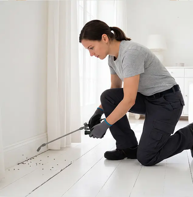 Why Bonita Springs, FL Property Owners Trust Bonita Springs Pest Control Pro for Fire Ant Control?