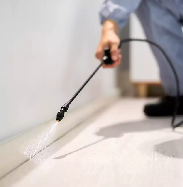 Why Choose Bonita Springs Pest Control Pro for Termite Treatment in Bonita Springs, FL?
