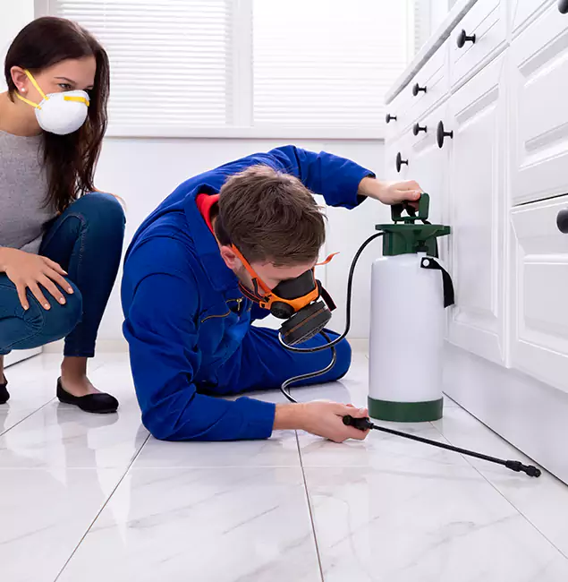 Why Bonita Springs, FL Homeowners Trust Bonita Springs Pest Control Pro for Roach Control?