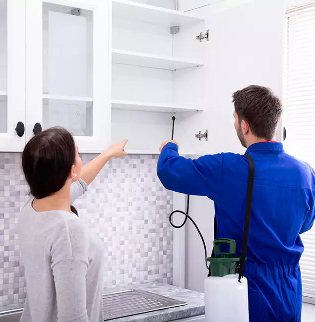 Why Bonita Springs Property Owners Choose Bonita Springs Pest Control Pro for Ground Bee Removal?