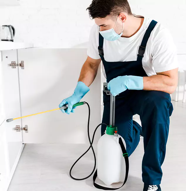 Why Choose Bonita Springs Pest Control Pro for Indoor Pest Control in Bonita Springs, FL?