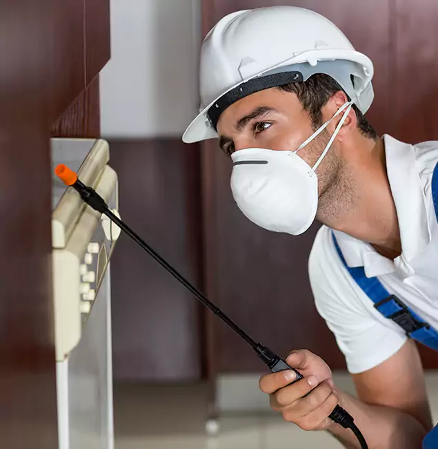 Why Bonita Springs Homeowners Rely on Bonita Springs Pest Control Pro for Tick Treatment?