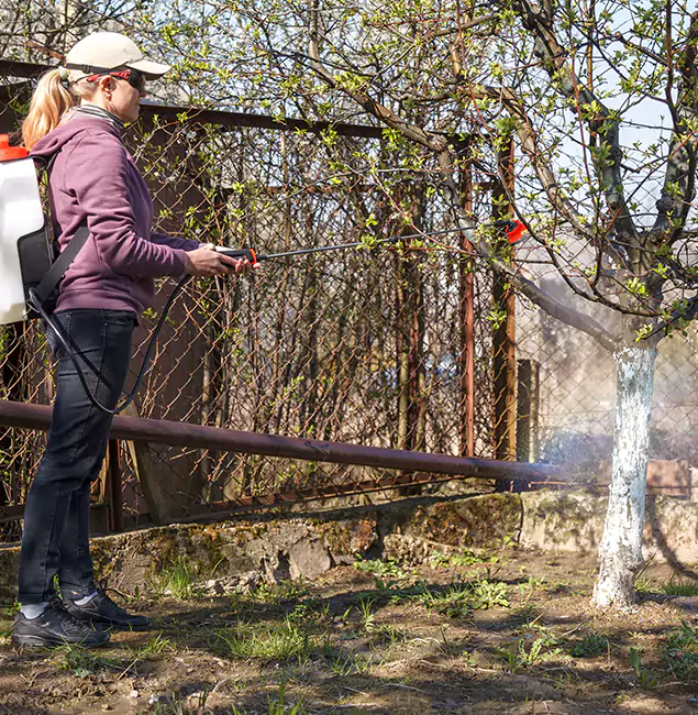 Why Bonita Springs Homeowners Choose Bonita Springs Pest Control Pro for Mosquito Abatement?