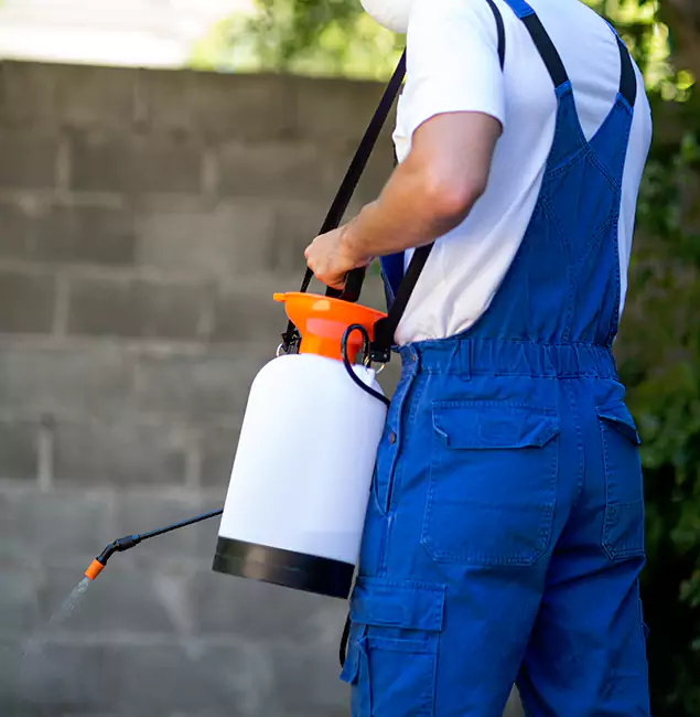 Why Bonita Springs Homeowners Rely on Bonita Springs Pest Control Pro for Mosquito Control?