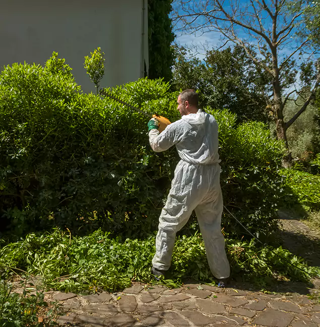 Why Bonita Springs Pest Control Pro Leads Mosquito Control in Bonita Springs, FL?
