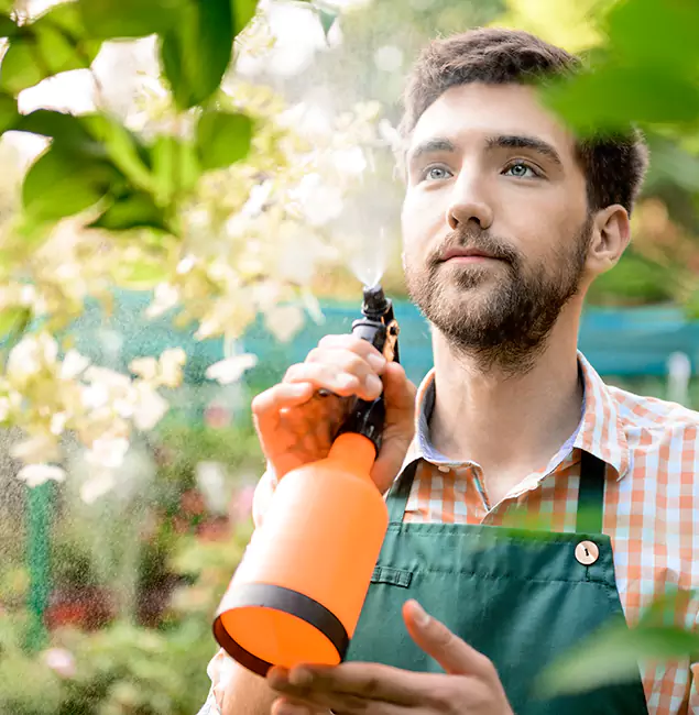 Why Bonita Springs Pest Control Pro Is the Best Mosquito Control Company in Bonita Springs, FL?