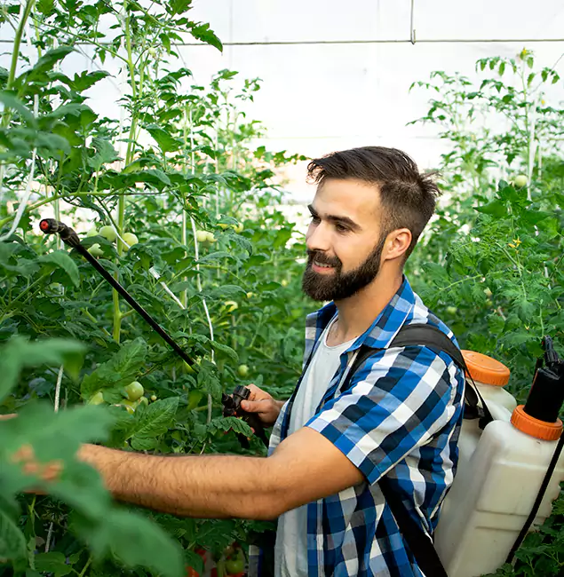 Why Bonita Springs Homeowners Choose Bonita Springs Pest Control Pro for Mosquito Spraying?