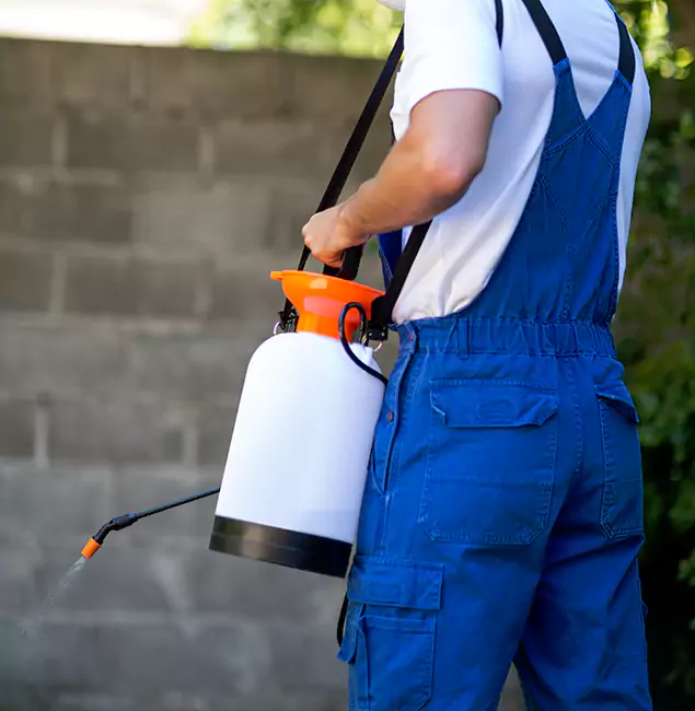 Why Bonita Springs Pest Control Pro Delivers the Best Mosquito Control in Bonita Springs, FL?