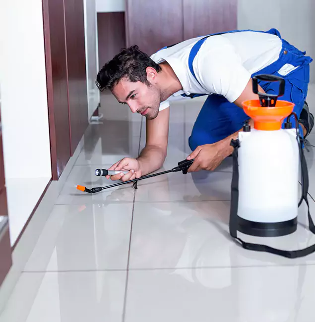 Why Bonita Springs Pest Control Pro Is the Proven Choice in Bonita Springs, FL?