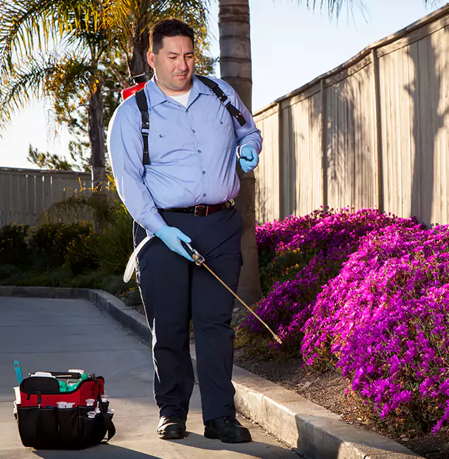 Why Choose Bonita Springs Pest Control Pro in Bonita Springs, FL?