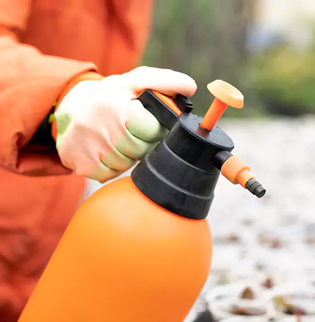 Why Choose Bonita Springs Pest Control Pro for Orange Termite Treatment in Bonita Springs, FL?