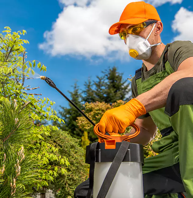 Why Choose Bonita Springs Pest Control Pro for Outdoor Pest Control in Bonita Springs, FL?