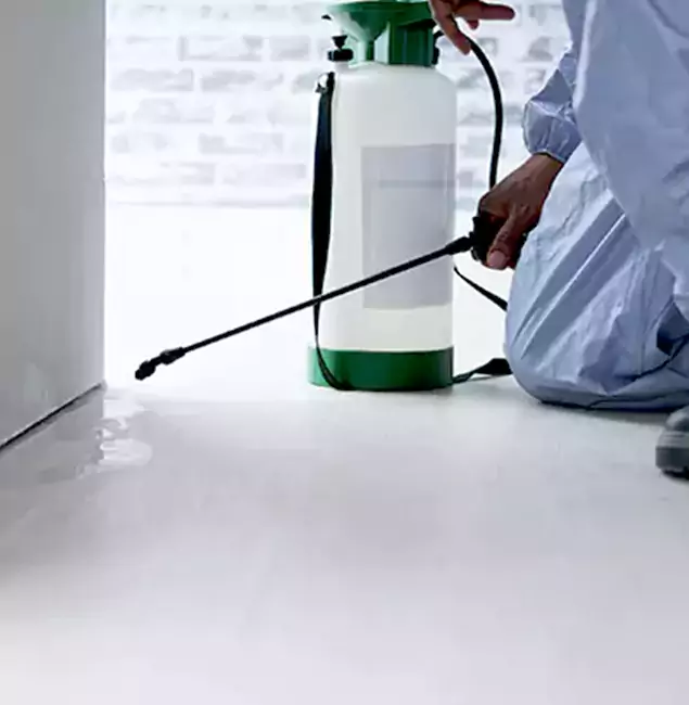 Why Choose Bonita Springs Pest Control Pro for Rat Exterminator in Bonita Springs, FL?