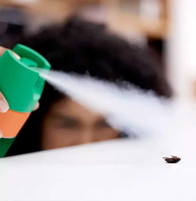 Why Bonita Springs, FL Homeowners Choose Bonita Springs Pest Control Pro for Roach Pest Control?