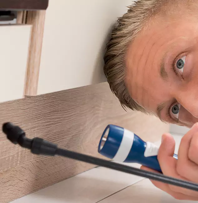 Why Choose Bonita Springs Pest Control Pro for Rodent Exterminator in Bonita Springs, FL?